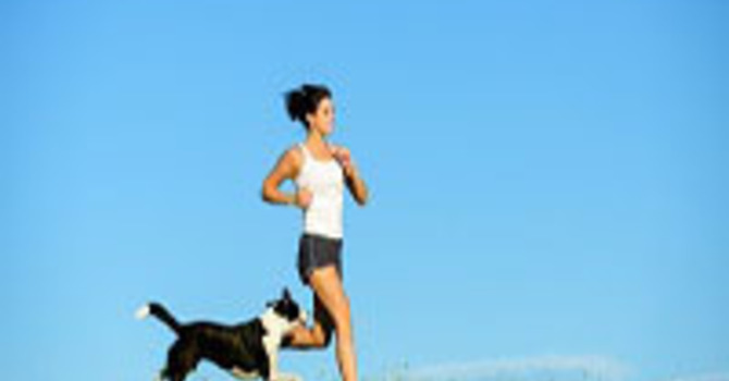 Climbing the Hill image